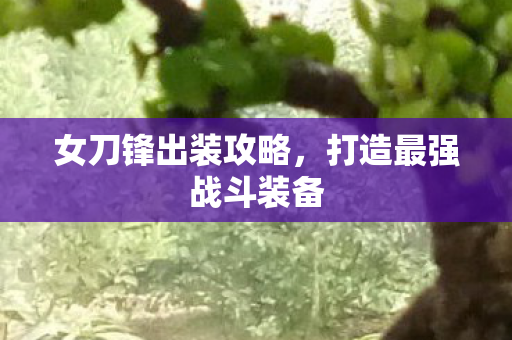 女刀锋出装攻略，打造最强战斗装备
