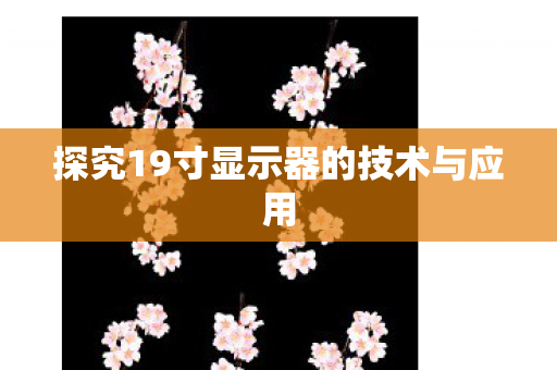 探究19寸显示器的技术与应用