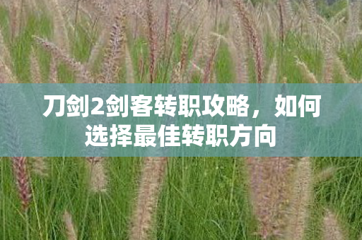 刀剑2剑客转职攻略，如何选择最佳转职方向