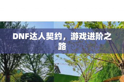DNF达人契约,游戏进阶之路 DNF达人契约,游戏进阶之路
