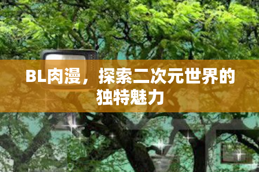 BL肉漫,探索二次元世界的独特魅力 BL肉漫,探索二次元世界的独特魅力