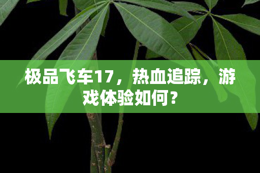 极品飞车17,热血追踪,游戏体验如何? 极品飞车17,热血追踪,游戏体验如何?