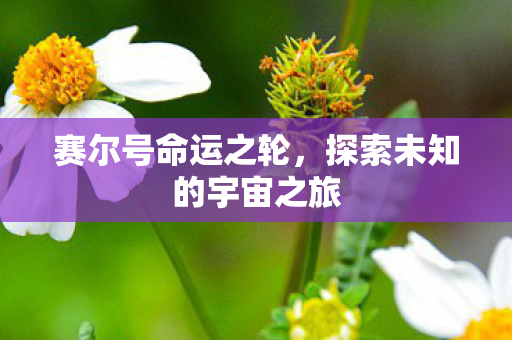 赛尔号命运之轮,探索未知的宇宙之旅 赛尔号命运之轮,探索未知的宇宙之旅