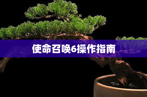使命召唤6操作指南