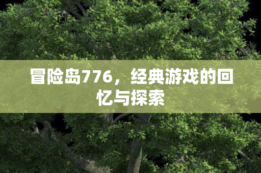 冒险岛776，经典游戏的回忆与探索