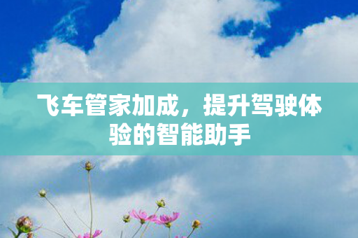 飞车管家加成，提升驾驶体验的智能助手