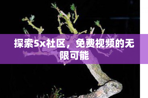 探索5x社区,免费视频的无限可能 探索5x社区,免费视频的无限可能