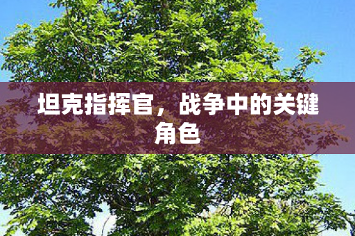 坦克指挥官,战争中的关键角色 坦克指挥官,战争中的关键角色