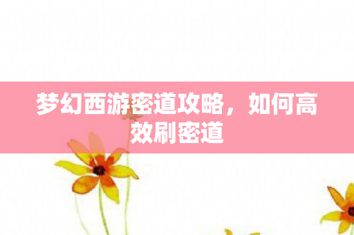 梦幻西游密道攻略，如何高效刷密道