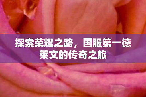 探索荣耀之路，国服第一德莱文的传奇之旅