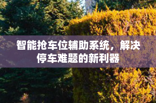 智能抢车位辅助系统，解决停车难题的新利器