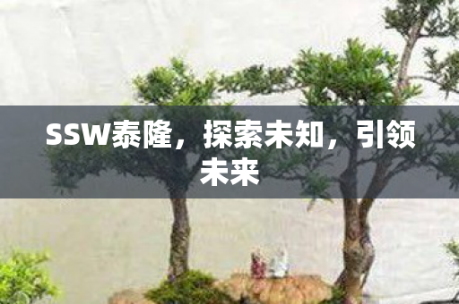 SSW泰隆，探索未知，引领未来