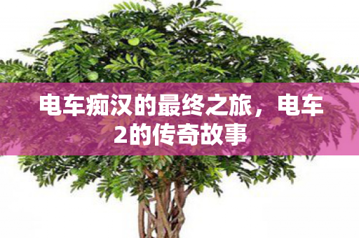 电车痴汉的最终之旅，电车2的传奇故事