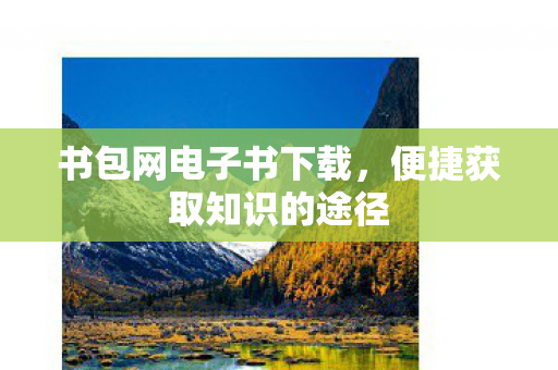 书包网电子书下载，便捷获取知识的途径