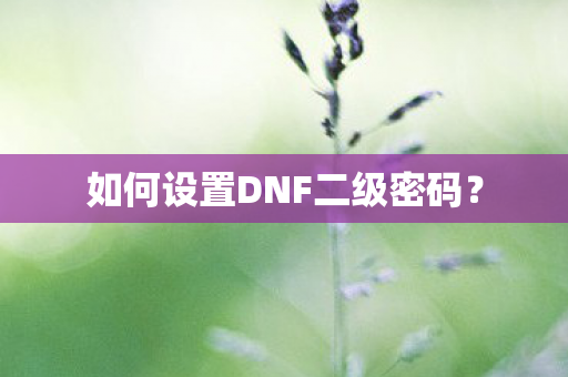 如何设置DNF二级密码？