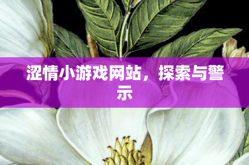 涩情小游戏网站，探索与警示