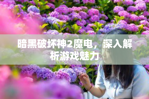 暗黑破坏神2魔电，深入解析游戏魅力