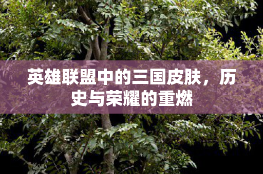 英雄联盟中的三国皮肤,历史与荣耀的重燃 英雄联盟中的三国皮肤,历史与荣耀的重燃