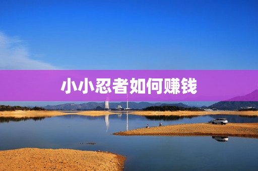 小小忍者如何赚钱 小小忍者如何赚钱