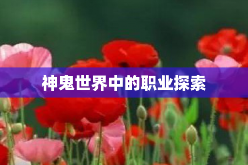 神鬼世界中的职业探索