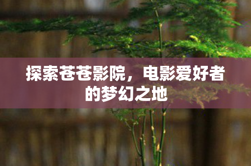 探索苍苍影院，电影爱好者的梦幻之地