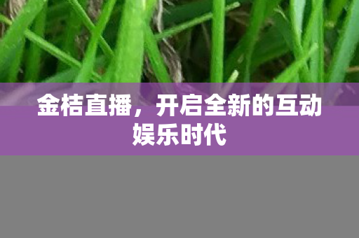 金桔直播，开启全新的互动娱乐时代