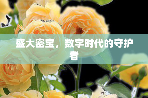 盛大密宝，数字时代的守护者