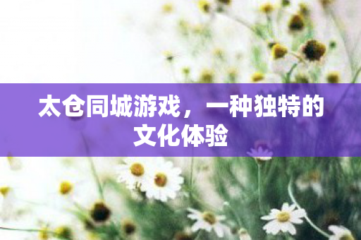 太仓同城游戏，一种独特的文化体验