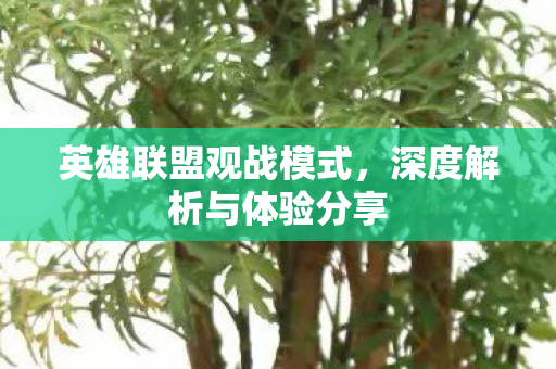 英雄联盟观战模式,深度解析与体验分享 英雄联盟观战模式,深度解析与体验分享