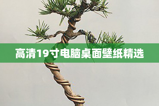 高清19寸电脑桌面壁纸精选