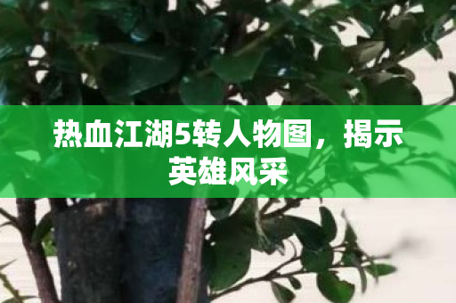 热血江湖5转人物图，揭示英雄风采
