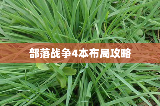 部落战争4本布局攻略 部落战争4本布局攻略