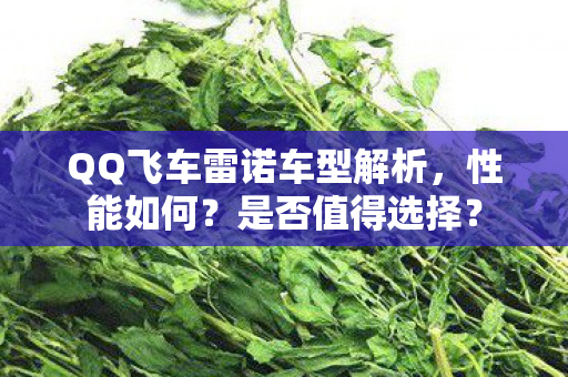 QQ飞车雷诺车型解析，性能如何？是否值得选择？
