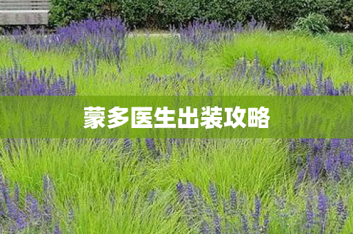 蒙多医生出装攻略