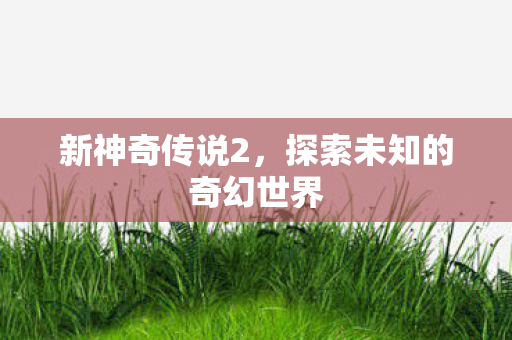 新神奇传说2,探索未知的奇幻世界 新神奇传说2,探索未知的奇幻世界