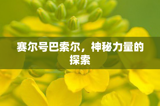 赛尔号巴索尔,神秘力量的探索 赛尔号巴索尔,神秘力量的探索