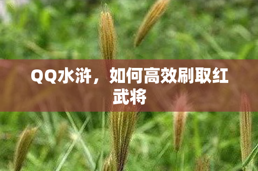 QQ水浒,如何高效刷取红武将 QQ水浒,如何高效刷取红武将