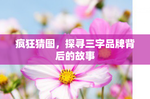 疯狂猜图，探寻三字品牌背后的故事