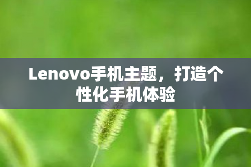 Lenovo手机主题，打造个性化手机体验