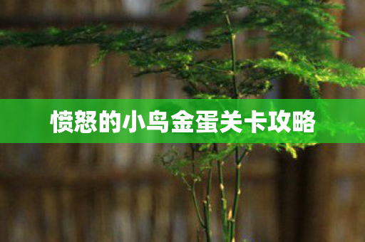 愤怒的小鸟金蛋关卡攻略