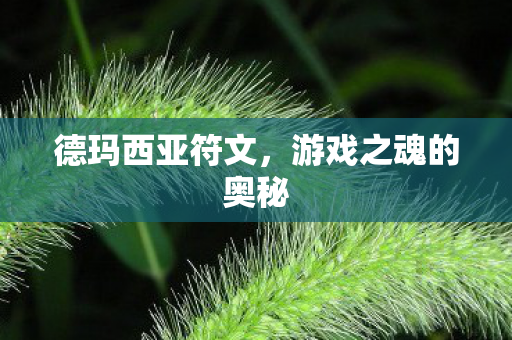 德玛西亚符文，游戏之魂的奥秘