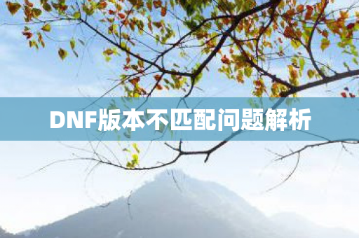 DNF版本不匹配问题解析