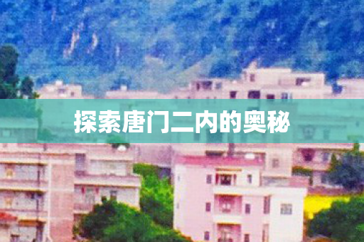 探索唐门二内的奥秘