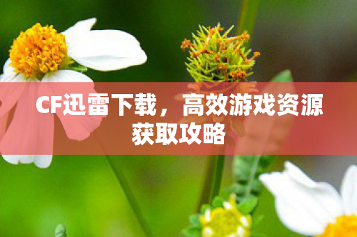 CF迅雷下载，高效游戏资源获取攻略