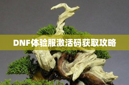 DNF体验服激活码获取攻略