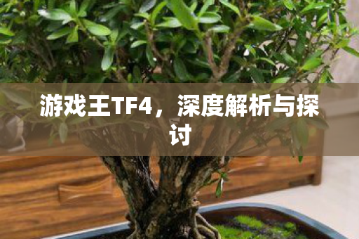 游戏王TF4，深度解析与探讨
