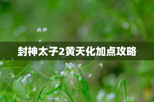 封神太子2黄天化加点攻略
