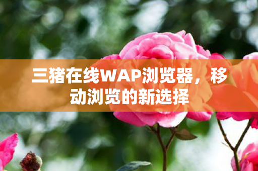 三猪在线WAP浏览器,移动浏览的新选择 三猪在线WAP浏览器,移动浏览的新选择