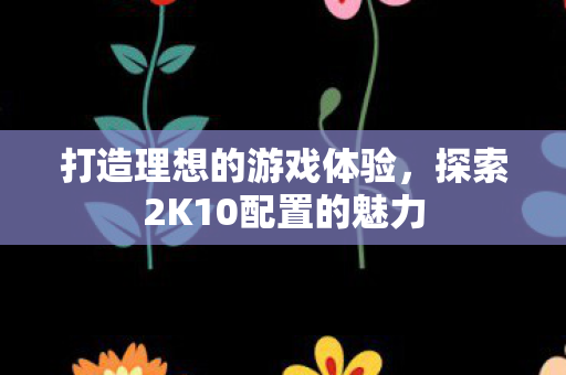 打造理想的游戏体验，探索2K10配置的魅力