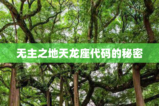 无主之地天龙座代码的秘密 无主之地天龙座代码的秘密